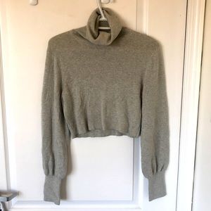Thin turtle neck crop top sweater from Aritzia. Worn once.